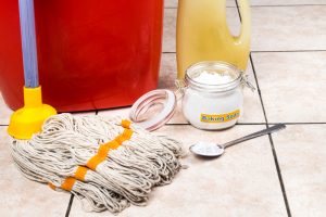 How to Make Green Cleaning Products at Home - Regency Cleaning - Professional Cleaning Service - Featured Image