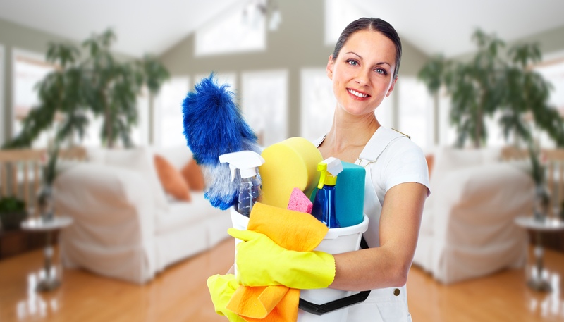 Tips for Maintaining a Clean and Healthy Home - Regency Cleaning Services - Commercial Cleaning Company - Featured Image