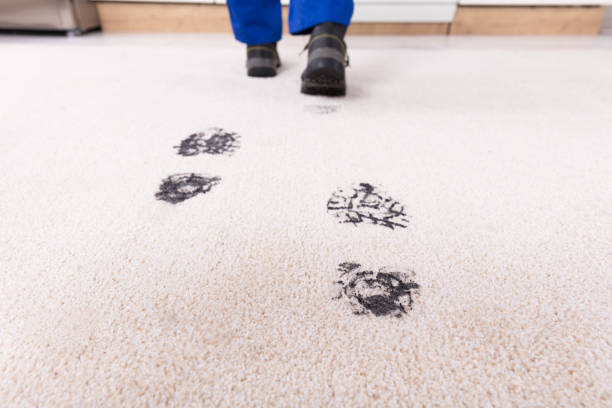 One of the winter maintenance tasks is to get rid of muddy footprints in a commercial space to keep your business clean.