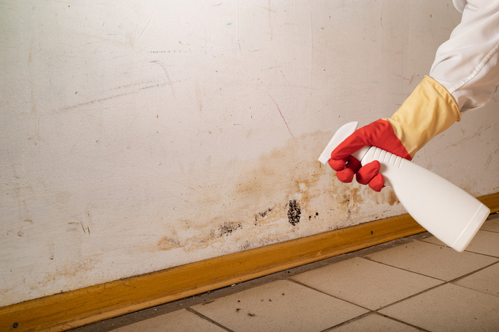Cleaning expert preventing mold growth in a commercial building during winter.