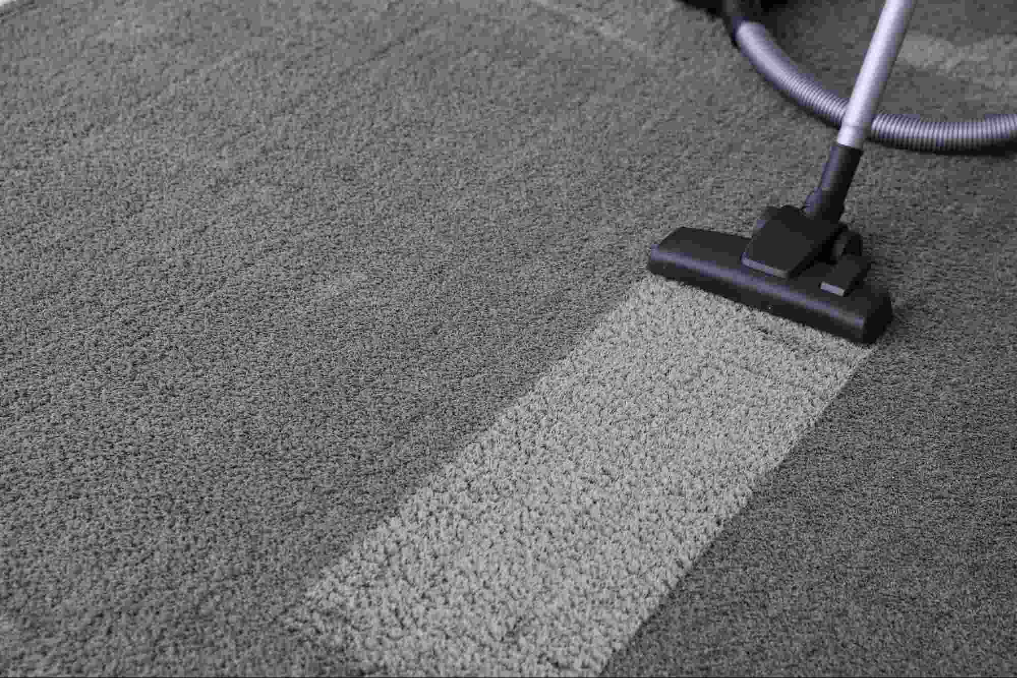 Vacuum cleaning a commercial carpet as part of an industrial carpet cleaning program to remove embedded dirt and dust.